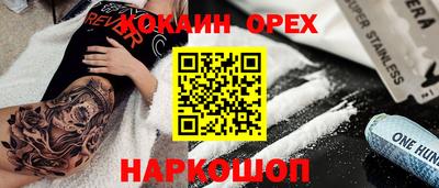 соль ск Бийск